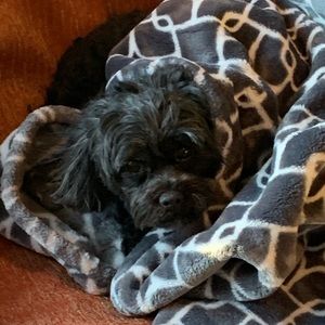 Meet your Posher, Christina